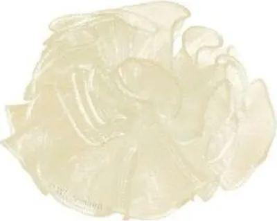 Produktbild von Kerzen Tropfenfänger aus Organza (Band) Creme für Kerzen bis Ø 40 mm