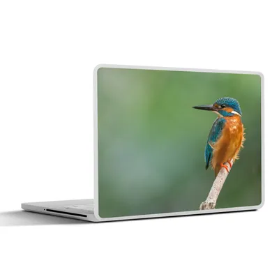 Produktbild von MuchoWow® Laptop Aufkleber Sticker Cover Eisvogel - Äste - Beute 31x22.5 cm - Laptop-Deko
