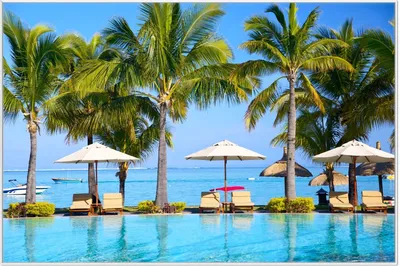 Produktbild von Wallario Wandbild Sonnenschirme am Südsee-Palmenstrand mit blauem Meer-Wasser, Größe: 61 x 91,50 cm, Poster mit weißem Aluminiumrahmen