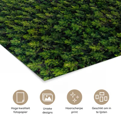 Produktbild von MuchoWow® Poster Wald - Neuseeland - Natur 180x120 cm - Fotoplakat