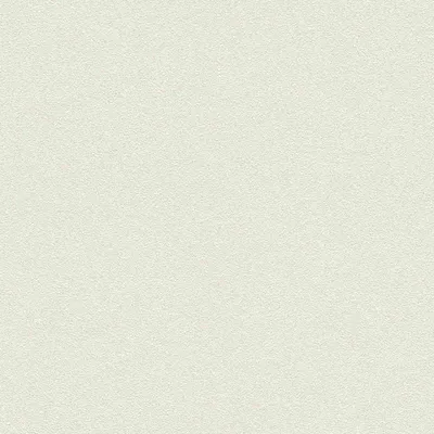 Produktbild von Rasch Vliestapete 606638 Passepartout uni weiß 10,05 x 0,53 m