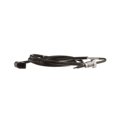 Produktbild von DELPHI TS30143 Abgastemperatursensor für VW GOLF VI (5K1) 880mm