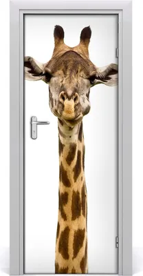 Produktbild von Tulup Türaufkleber 75x205 cm Dekorative Aufkleber Selbstklebend Wasserdichte Tapete Abnehmbar Schlafzimmer Wohnzimmer Wohnkultur - Giraffe Wand