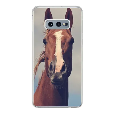 Produktbild von MuchoWow® Handyhülle Schutzhülle Hülle für Samsung Galaxy S10e Pferd - Luft - Blau Silikon Softcase Handy Hülle - Handy