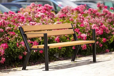 Immagine prodotto di Panca da giardino in legno con schienale 185x54cm Panca per parco