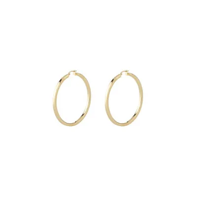Image de Guess JUBE04199JWYG Boucles d'oreilles femmes créoles or