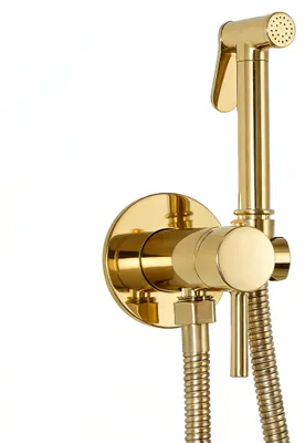Produktbild von AjieQAQ Unterputz-Bidetarmatur mit Temperaturregelung, Gold