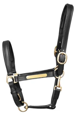 Produktbild von Hy Leder-Halfter TL6605 (Cob) (Schwarz)
