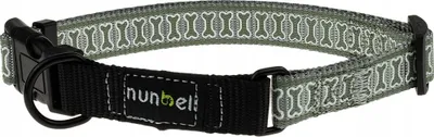 Produktbild von Großes reflektierendes Hundehalsband mit Schnalle L (40-60 cm)