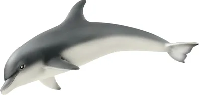 Produktbild von schleich WILD LIFE Delfin, 3 Jahr(e), Ice & Ocean, Wild animals / adventure toys, Mehrfarbig, Kunststoff, 1 Stück(e)