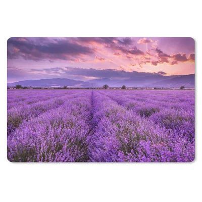 Produktbild von MuchoWow® Schreibtischunterlage Lavendel - Lila - Blumen - Feld 60x40 cm - XXL Mauspad - Großes Mauspad