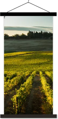 Produktbild von MuchoWow® Textilposter Toskana - Landschaft - Wein 40x80 cm mit schwarzem Rahmen - Wandemalerei