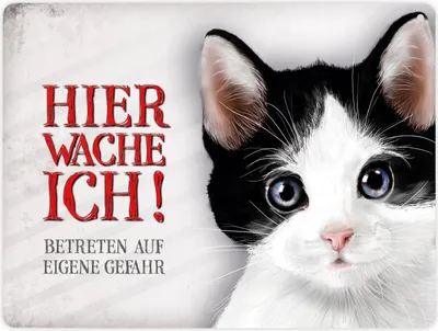 Produktbild von Metallschild XL mit Katze Motiv und Spruch: Betreten auf eigene Gefahr ...
