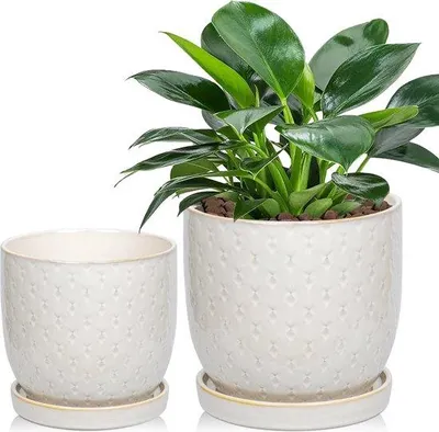 Immagine prodotto di Vasi da fiori in Vetroceramica bianchi da 13-16 cm con fori di drenaggio per piante grasse