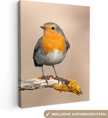 Produktbild von MuchoWow® - Leinwandbilder - Rotkehlchen - Vogel - Zweig - Tiere, Wandbild, Wanddeko Bilder Wohnzimmer, 30x40 cm