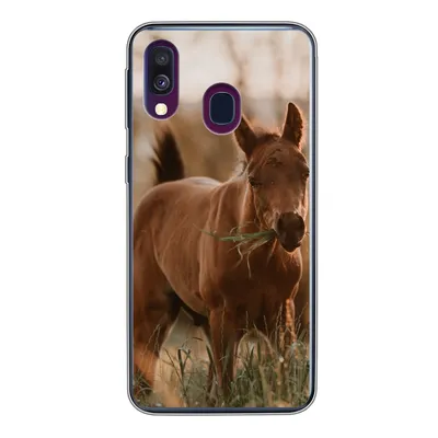 Produktbild von MuchoWow® Handyhülle Schutzhülle Hülle für Samsung Galaxy A40 Pferd - Sonne - Gras Silikon Softcase Handy Hülle - Handy-Tasche