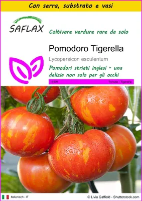 Immagine prodotto di SAFLAX Insieme di coltivazione - Pomodoro Tigerella - 10 semi - Lycopersicon