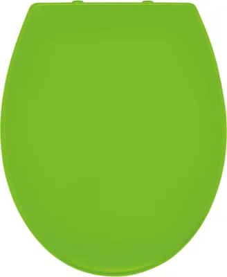 Produktbild von Ridder WC-Sitz Miami mit Soft-Close  grün 02101175