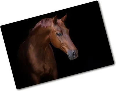 Produktbild von Tulup Glas Herdabdeckplatte - 80x52 cm - Glaskeramikkochfeld-Abdeckung Spritzschutz Glasabdeckplatte - Einteilig - Tiere - Braunes Pferd - Braun