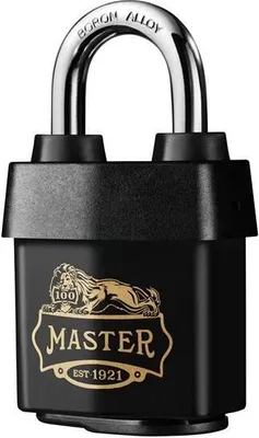 Image de Cadenas Master Lock 1921EURDCC