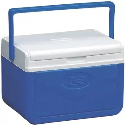 Produktbild von Kühlschachtel für Lebensmittel und Getränke bis 12 Stunden Kühlkapazität, leicht und tragbar, ideal für Lunchboxen und Picknickausflüge