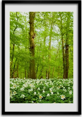 Produktbild von Bild - Bilderrahmen - Foto - 70 cm x 100 cm - MDF - Rahmen - Wandkunst - Blumen im Wald