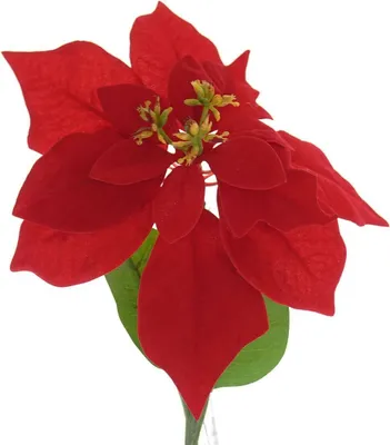 Produktbild von GASPER Weihnachtsstern - Poinsettie Rot 60 cm - Kunstblumen