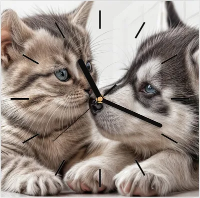 Produktbild von Wanduhr aus Glas mit Motiv Kätzchen und Welpe- 30 x 30 cm - inkl. Aufhängesystem