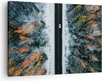 Produktbild von Bild auf Leinwand - Leinwandbild - Einteilig - Wald Weg Schnee - 70x50cm - Wand Bild - Wanddeko - Wandbilder - Leinwanddruck - Bilder - Wanddekoration - Leinwand bilder - Wandbild - AA70x50-4654