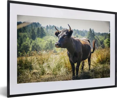 Produktbild von MuchoWow® Gerahmtes Poster Ein Stier in einem gelben Feld 60x40 cm - Poster mit Schwarzem Bilderrahmen Wandposter Rahmen Foto Bilder - Schlafzimmer - Plakat in Rahmen - Drucken