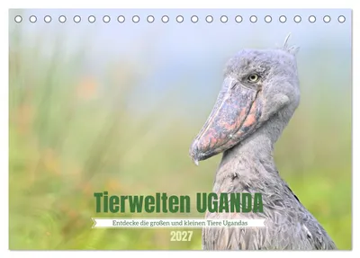 Produktbild von Tierwelten UGANDA (Tischkalender 2027 DIN A5 quer), CALVENDO Monatskalender
