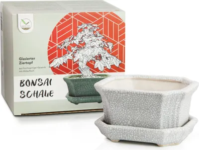 Produktbild von Bonsai Schale aus Keramik mit Untersetzer in Grau - Bonsai Topf eckig für die perfekte Inszenierung Ihres Zimmerbonsais - 11 x 6,5 x 9 cm