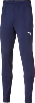 Produktbild von Puma LIGA Casuals Pants Jr, 176