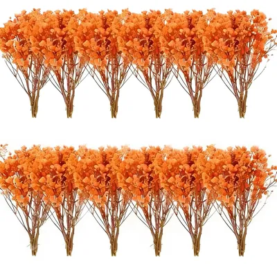 Trockenblumen Gypsophila orange 50 Stk. 15,6 cm DIY