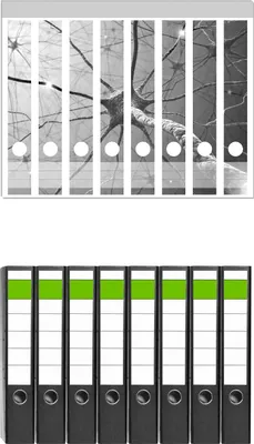 Produktbild von Wallario 8 Stück schmale Ordner inkl. Klebeetiketten mit Motive Menschliche Nervenzelle - schwarz weiß -  Set mit Rückenschildern / Ordnerrücken Stickern
