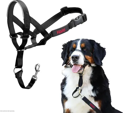 Produktbild von Famanu Kopfgeschirr für Hunde Schwarz 5 - Komfortable Trainingshilfe