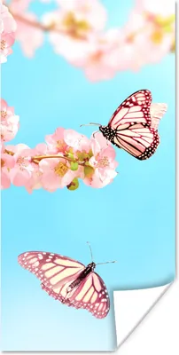 Produktbild von MuchoWow® Poster Schmetterlinge - Baum - Blumen 20x40 cm - Plakat - Foto