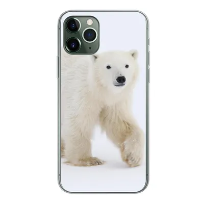 Produktbild von MuchoWow® Handyhülle Schutzhülle Hülle für iPhone 11 Pro Eisbär - Schnee - Weiß Silikon Softcase Handy Hülle - Handy
