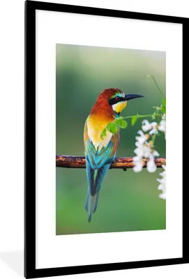 Produktbild von MuchoWow® Gerahmtes Poster Vogel - Bienenfresser - Blumen 60x90 cm - Poster mit Schwarzem Bilderrahmen Wandposter Rahmen Foto Bilder - Dekoration - Wandposter Wohnzimmer - Hochwertig