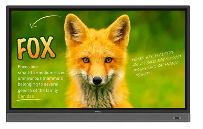 Produktbild von BenQ Rp653k, Interaktiver Flachbildschirm, 165,1 cm (65"), LED, 3840 x 2160 Pixel