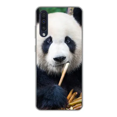 Produktbild von MuchoWow® Handyhülle Schutzhülle Hülle für Samsung Galaxy A30s Panda - Bambus - Natur Silikon Softcase Handy Hülle - Karteninhaber