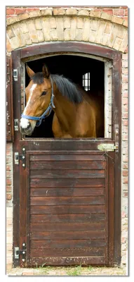 Produktbild von Wallario selbstklebende Türtapete 93 x 205 cm - Pferd im Stall - Abwischbar, rückstandsfrei zu entfernen