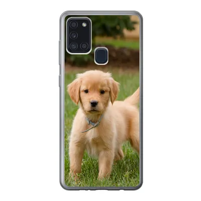 Produktbild von MuchoWow® Handyhülle Schutzhülle Hülle für Samsung Galaxy A21s Golden Retriever Welpe im grünen Gras Silikon Softcase Handy Hülle - Hartschale