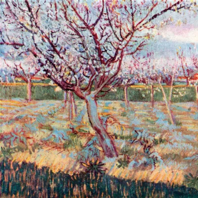 Obrázok produktu pre Vincent Van Gogh Art Print Obraz - Kvitnúce stromy, 1888 (40 x 40 cm)
