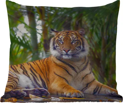 Produktbild von MuchoWow® Outdoor Kissen - Tiger - Tiere - Wald - Dschungel - 45x45 cm - Wetterfest - Lounge Kissen - Fotokissen - Dekoratives Kissen