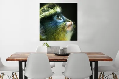 Produktbild von MuchoWow® Poster Affe - Gelb - Blau 75x75 cm - Wand Dekoration