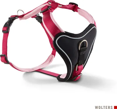 Image de Wolters Harnais Professional Comfort framboise 40–45 cm x 25 mm