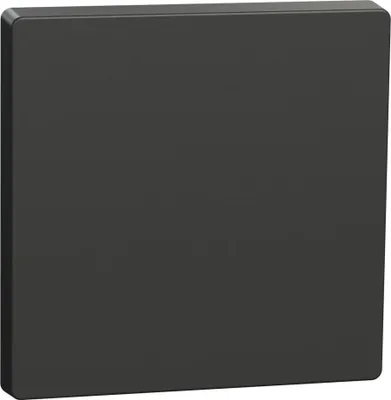 Produktbild von Merten Wippe Anthrazit MEG3300-6034