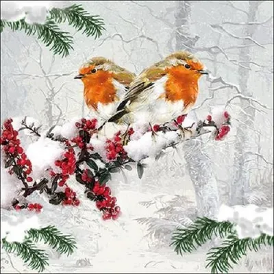 Produktbild von RP 20 Servietten Winter Birds - Paar an Rotkehlchen im Winterbaum 33x33cm