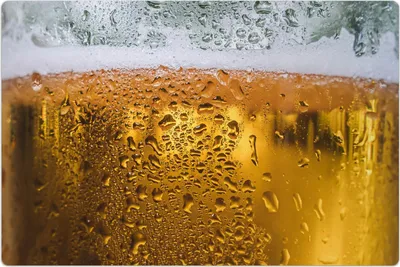 Produktbild von Küchenmatte 150x225 cm Vinylmatte Bodenmatte Dekoration - Glas Bier